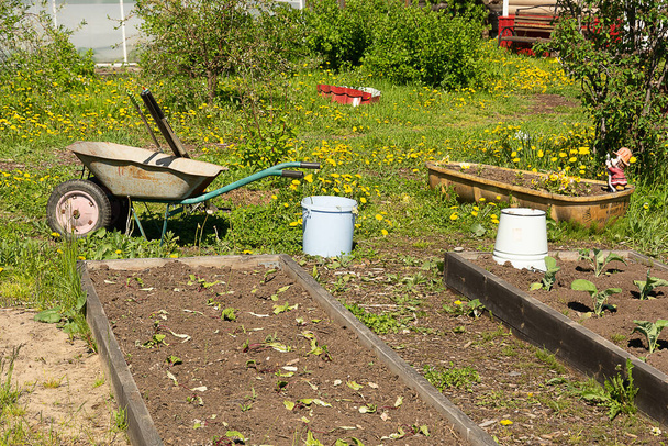 a garden wheelbarrow stands next to the vegetable gardens. farming concept. sunny day. - Φωτογραφία, εικόνα