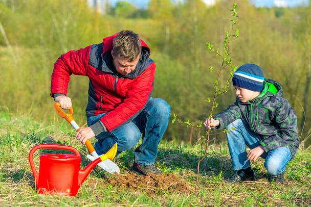 Vater und Sohn pflanzen im Frühjahr einen Trieb im Park, helfen, pflegen - Foto, Bild