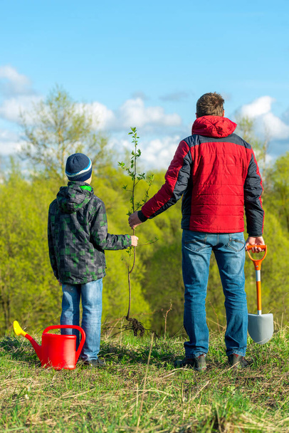 Vader en zoon schooljongen in het voorjaar plant een boom schieten in het park concept familie, hulp, zorg - Foto, afbeelding