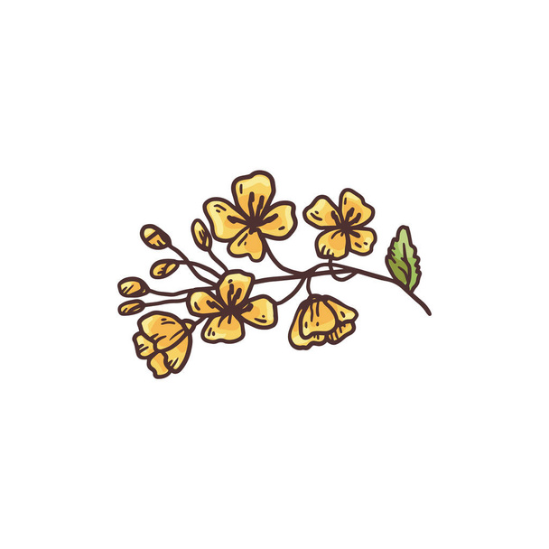 Small flowers of mustard plant on branch engraving vector illustration isolated. - Vettoriali, immagini