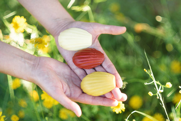 Женские руки, показывающие мыло ручной работы среди полевых цветов - Фото, изображение