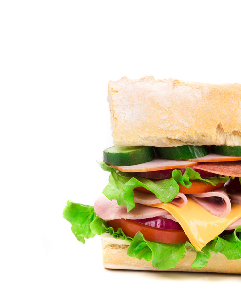 Close up of french sandwich. - 写真・画像