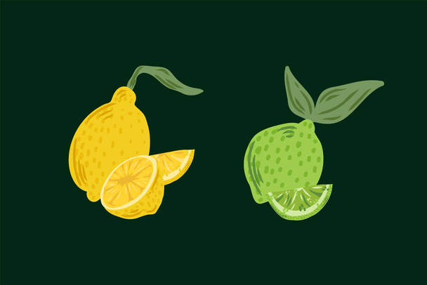 Vector of juicy citrus fruits. Illustration of lemon and lime for the summer design of the restaurant menu. - ベクター画像