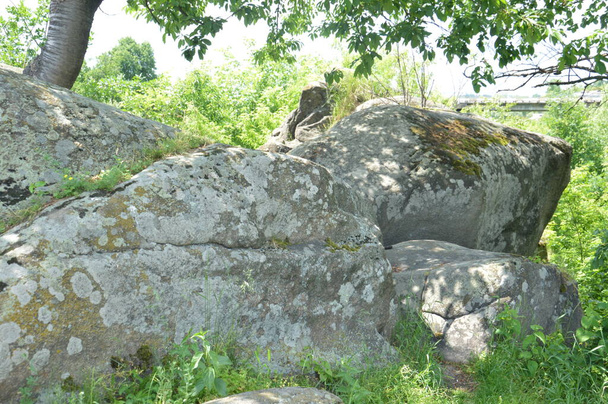 Ancient large stones in a the field - Zdjęcie, obraz