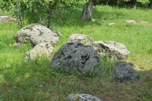 Ancient large stones in a the field - 写真・画像
