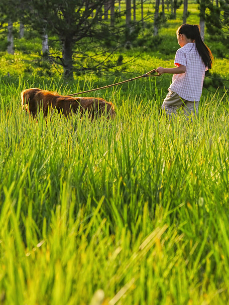 The happy little girl walks her dog in the park - Fotografie, Obrázek