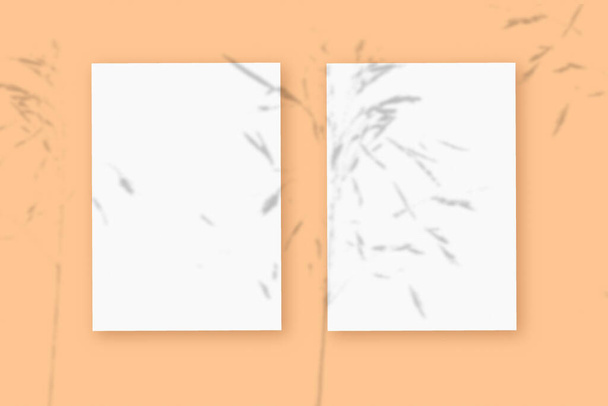 La luce naturale proietta ombre dalla pianta su 2 fogli verticali di formato carta bianca testurizzata, distesi su uno sfondo beige testurizzato. Mockup - Foto, immagini
