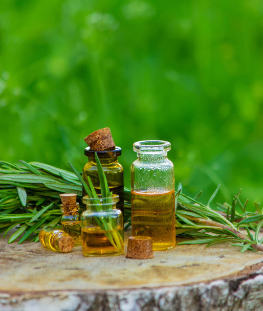 Una botella de aceite de romero en un tocón de árbol. Aceite esencial, remedios naturales. Enfoque selectivo - Foto, Imagen