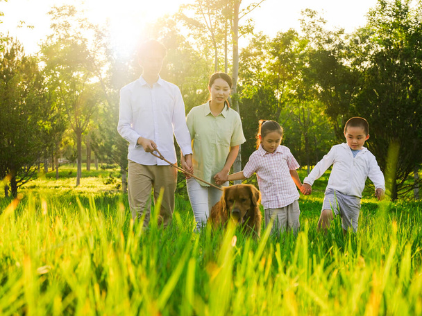 Happy family of four walking dogs in the park - Φωτογραφία, εικόνα