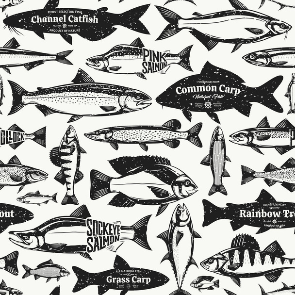 ベクトル魚レトロスタイルのシームレスなパターンや背景。魚図集 - ベクター画像