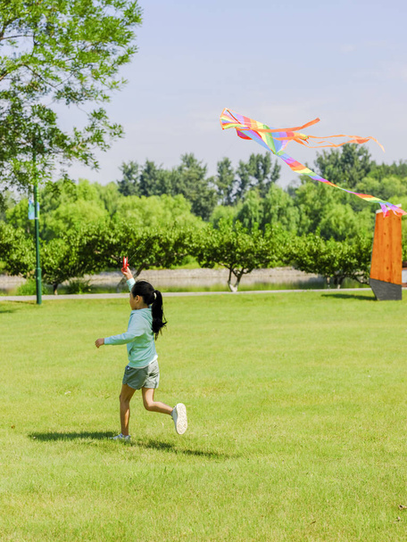 The happy little girl is flying a kite in the park - Valokuva, kuva