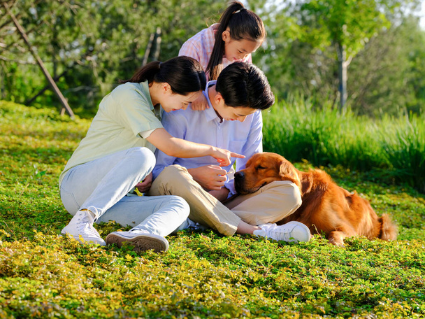 Ευτυχισμένη οικογένεια των τριών και κατοικίδιο ζώο σκυλί παίζει στο πάρκο - Φωτογραφία, εικόνα