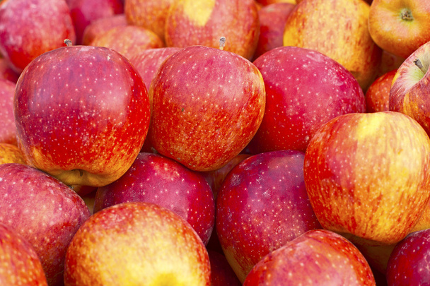 Manzana roja madura y amarilla
 - Foto, Imagen