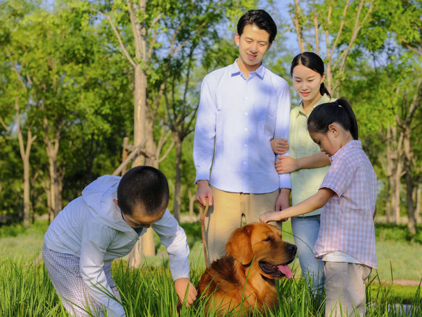 Happy family of four and pet dog playing in the park - Foto, imagen