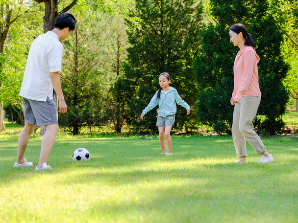 Happy family of three playing football in the park - Fotoğraf, Görsel