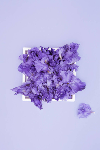 Beautiful iris flowers in white frame on lilac pastel background. Summer floral composition. Nature concept. Love and romance theme. Top view. Flat lay - Photo, Image