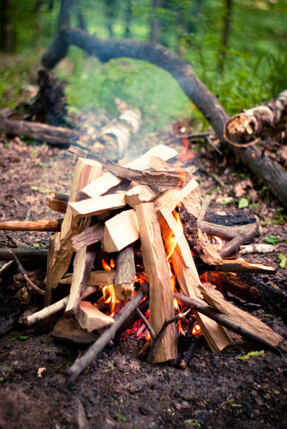 brand op een picknick in het bos - Foto, afbeelding
