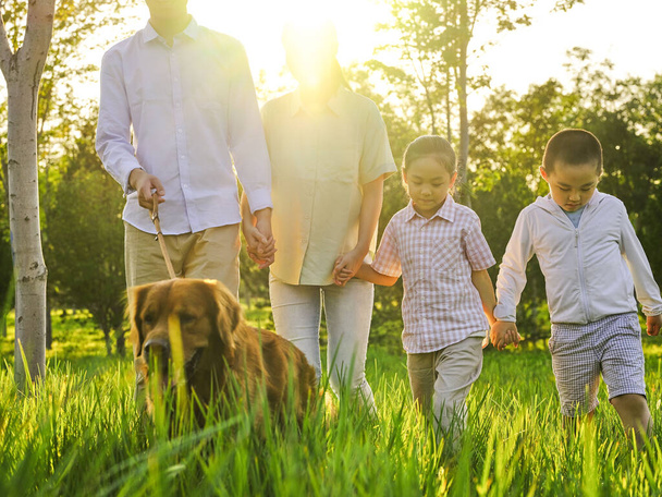 Happy family of four walking dogs in the park - 写真・画像