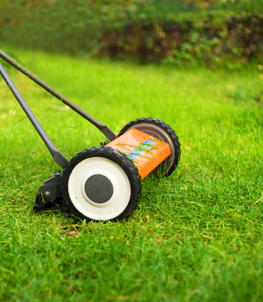 Lawnmower cutting grass - Photo, Image