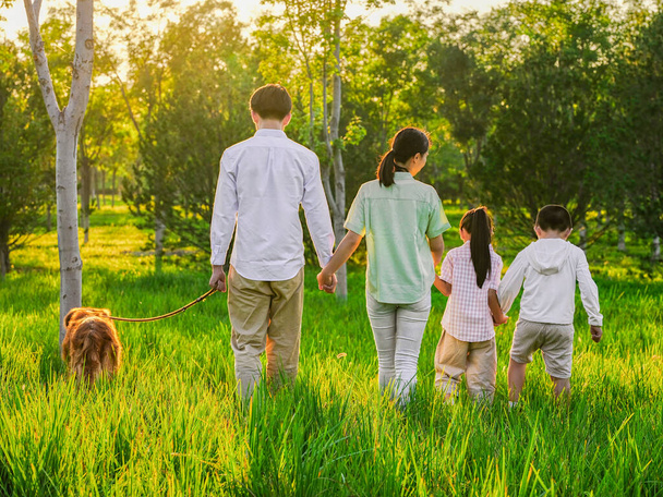 Happy family of four walking dogs in the park - Foto, Imagen