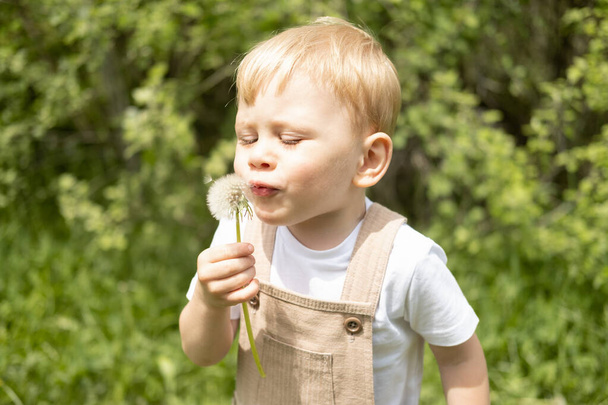 happy cute blond child boy blowing dendelion flower in green park - Photo, Image