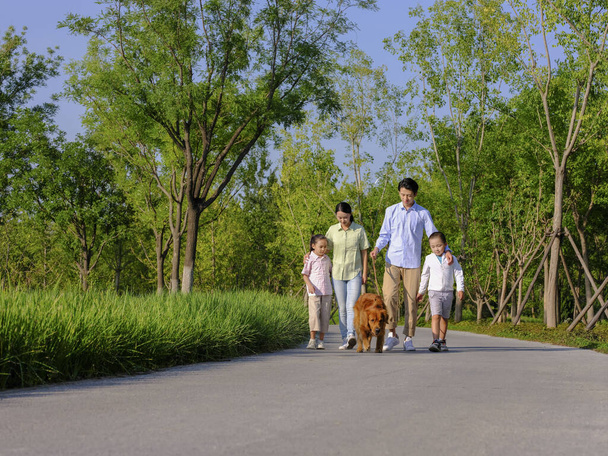Happy family of four walking dogs in the park - Foto, imagen