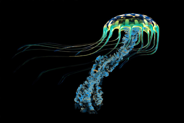 modré medúzy - Fotografie, Obrázek