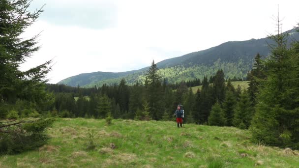 A hiker with a backpack walking through the mountain glade in spring - Imágenes, Vídeo
