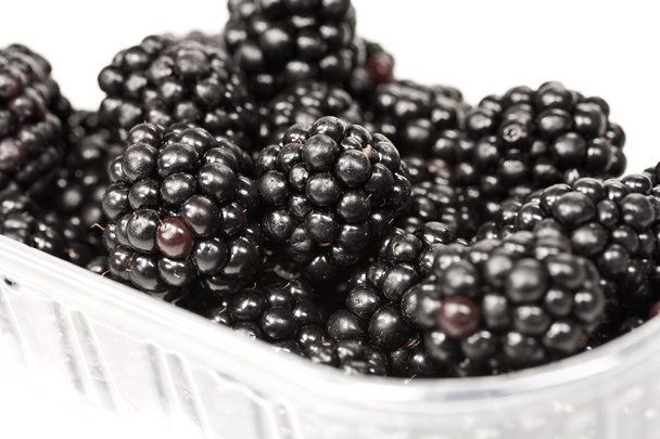 Blackberries - Photo, Image