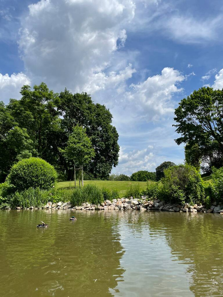 Немецкий парк в летнее время с красивыми деревьями, озерами и растениями. - Фото, изображение