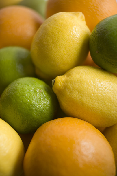 Selection Of Citrus Fruits - Foto, afbeelding