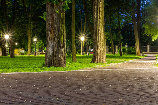 El camino de baldosas en el parque verde de la noche con linternas en primavera. Bancos en el parque durante la temporada de primavera por la noche. Iluminación de un camino de parque con linternas por la noche. Parque Mariinsky. Ucrania. - Foto, imagen