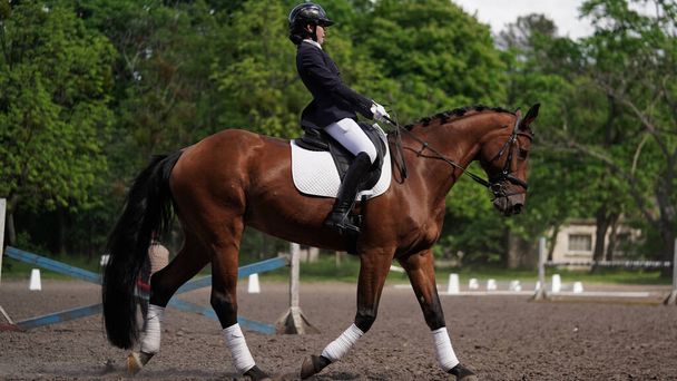 Fiatal lány lovas barna lovon a lovas sport versenyen. Lovaglás az arénában. Díjszabási teszt. Lovas versenyek, lovas kitérő.Lány zsoké egy lovon egy napos nyári napon - Fotó, kép