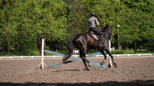 馬術スポーツ競技で茶色の馬に若い男のライダー。アリーナに乗って馬。ドレッシングテスト。馬術競技,馬の迂回路.晴れた夏の日に馬の上に男のジョッキー - 写真・画像