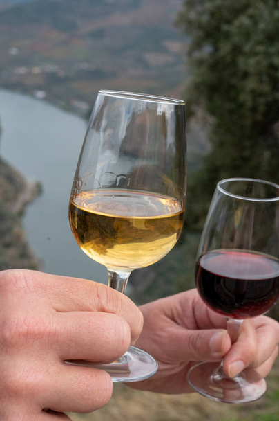 Tasting of Portuguese fortified dessert and dry port wine, produced in Douro Valley with Douro river and colorful terraced vineyards on background in autumn, Portugal - Photo, Image
