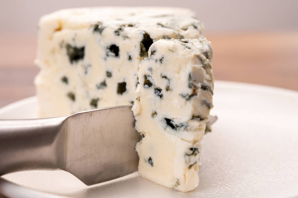 Cheese collection, piece of soft French blue cheese roquefort close up - Photo, Image