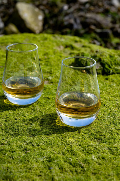 Verkostung von Single Malt oder Blended Scotch Whisky und Meeresboden bei Ebbe mit Algen, Steinen und Austern im Hintergrund, private Whisky-Destillerie-Touren in Schottland, Großbritannien - Foto, Bild