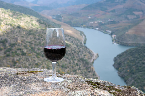 A Douro-völgyben és a Douro folyóban termelt portugál erődített kikötői bor üvege színes teraszos szőlőültetvényekkel a háttérben ősszel, Portugália íze - Fotó, kép