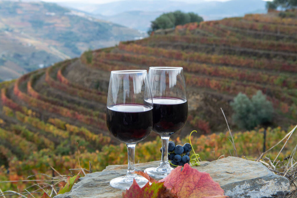 Portugál erődített desszert és száraz portói bor kóstolása, melyet a Douro völgyben állítottak elő színes teraszos szőlőültetvényekkel a háttérben ősszel, Portugáliában - Fotó, kép