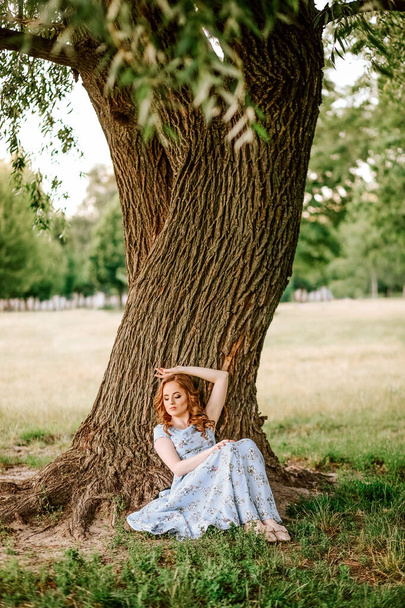 beautiful girl in a summer dress sits under a big tree in the par - Photo, image