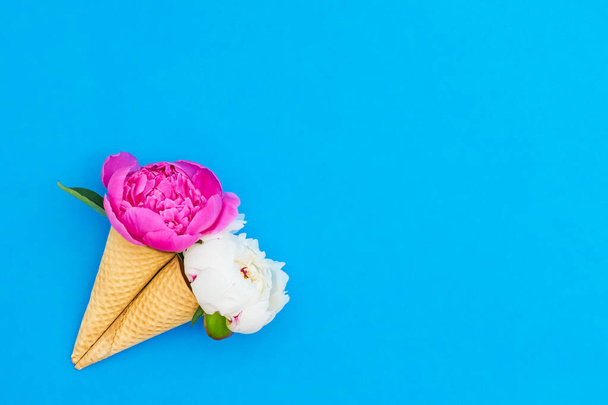 Pivoňkové květiny ve vaflovém zmrzlinovém kornoutu na jasně modrém pozadí. Den matek, Valentýn, rozlučka se svobodou, letní koncept. Kopírovat mezeru, horní pohled. - Fotografie, Obrázek
