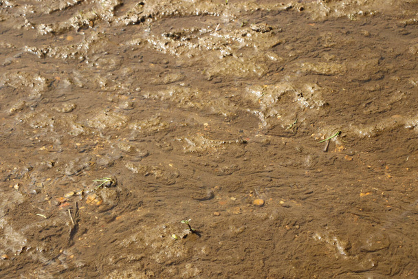 地面のレベル泥や水のストリームを下にスロッシングのクローズアップ - 写真・画像