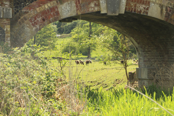 Прочная кирпичная кладка моста через реку - Фото, изображение