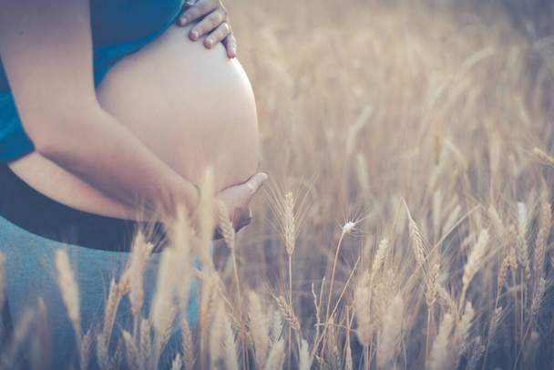 Pregnant woman showing her belly from the side in a wheat field. Concept, waiting for the newborn - Fotografie, Obrázek
