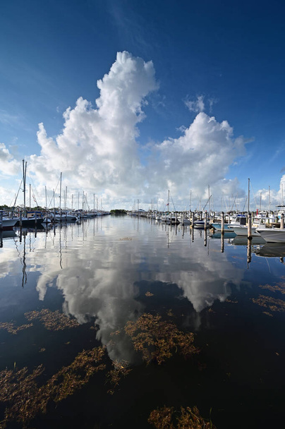 Paisagem de verão refletida na água calma da chave de jantar em Miami, Flórida. - Foto, Imagem