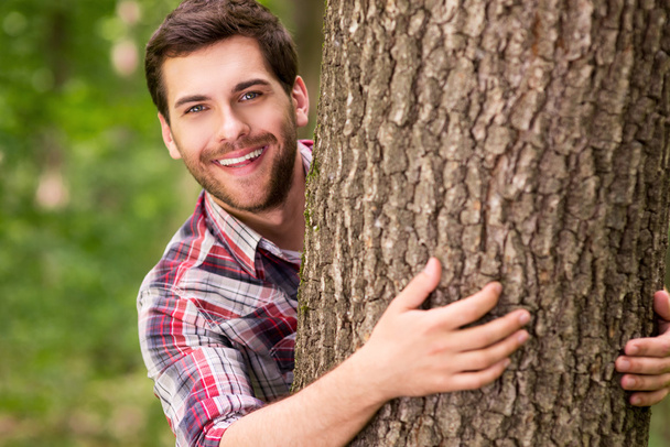 Man looking out of the tree - Photo, Image
