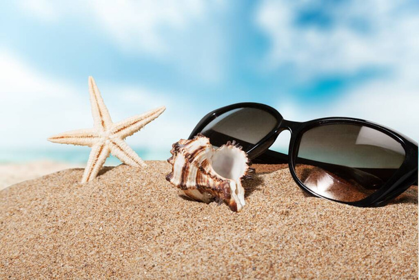 sunglasses and marine life on the beach - Foto, Bild