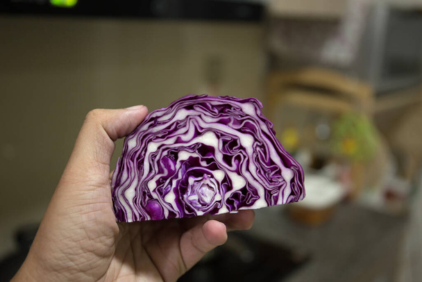 Una fetta di cavolo viola sulla mano maschile - Foto, immagini