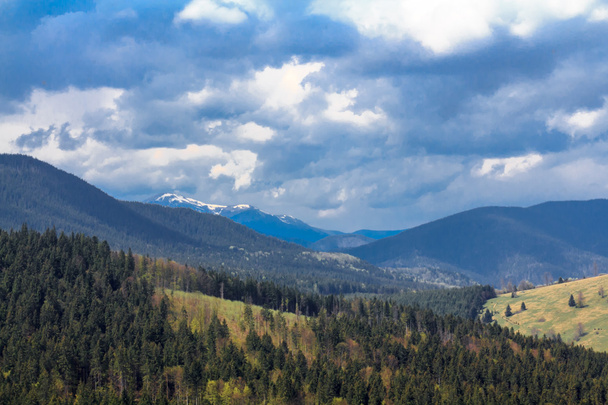 Scenic mountain landscape shot near Hoverla. Carpathian, Ukraine - Photo, Image