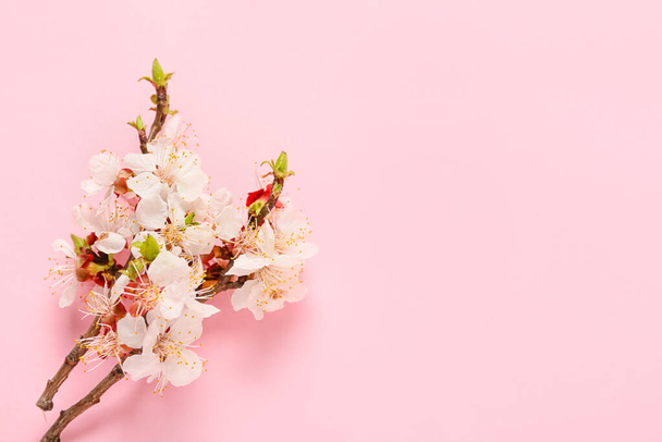 Красиві квітучі гілки на кольоровому фоні
 - Фото, зображення